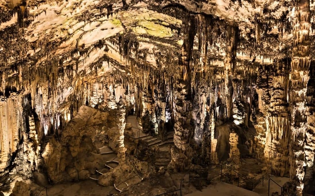Eastern Majorca Tour with Arta Caves and Aloe Plantation Image 10