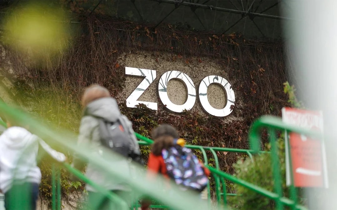 Edinburgh Zoo Entrance Tickets Image 6