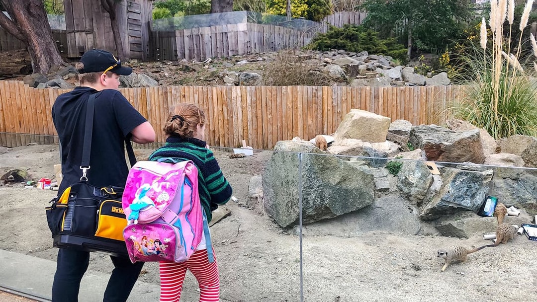 Children watching meerkats at Edinburgh Zoo enclosure.