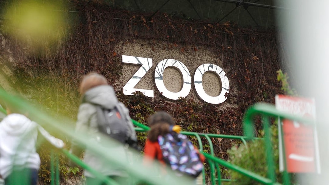 Zoo entrance sign at Edinburgh Zoo with visitors walking up stairs.