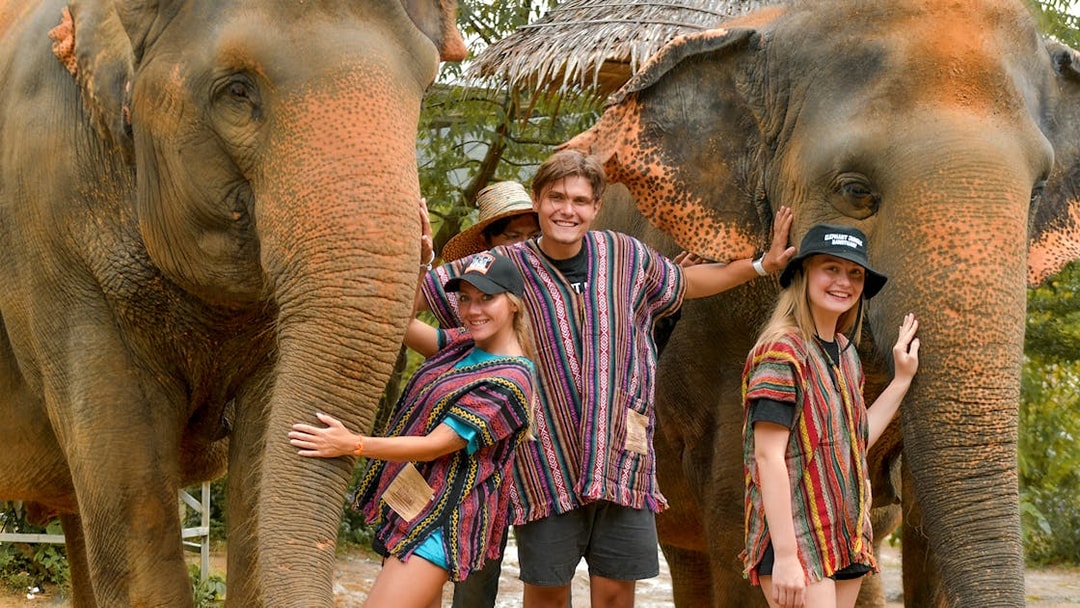 Tourists interacting with elephants at Elephant Jungle Sanctuary in Phuket.