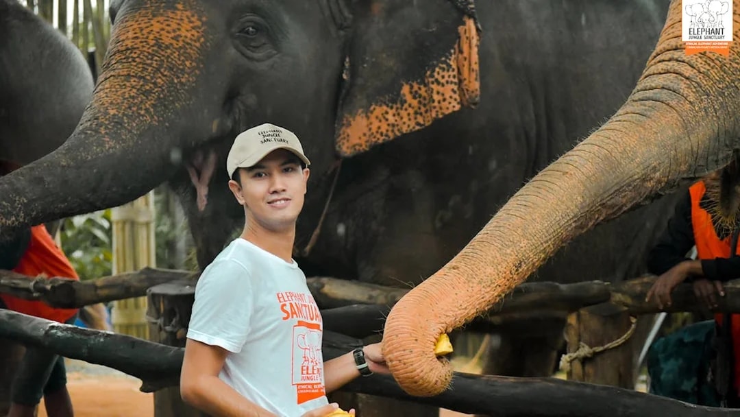 Tourist feeding an elephant at Elephant Jungle Sanctuary, Phuket.