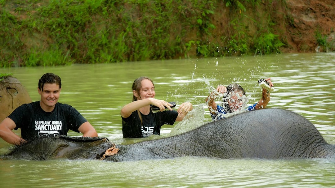 Tourists bathing elephants at Elephant Jungle Sanctuary in Phuket.