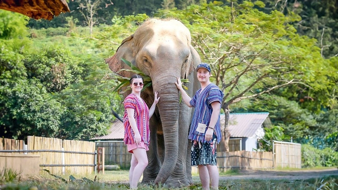 Chiang Mai: Elephant Jungle Sanctuary Tours