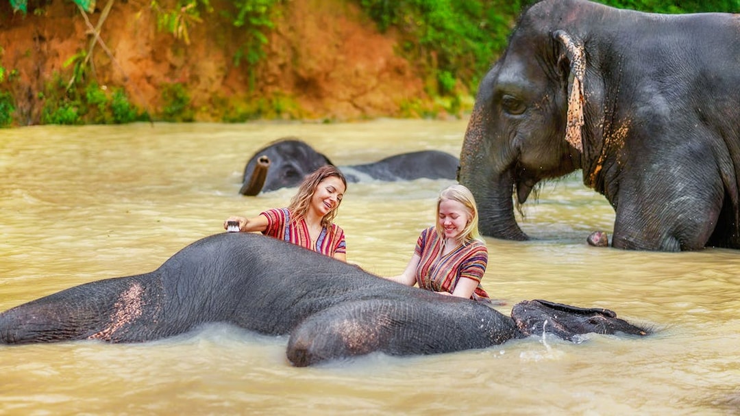 Women bathing elephants at Elephant Jungle Sanctuary, Phuket, Thailand.