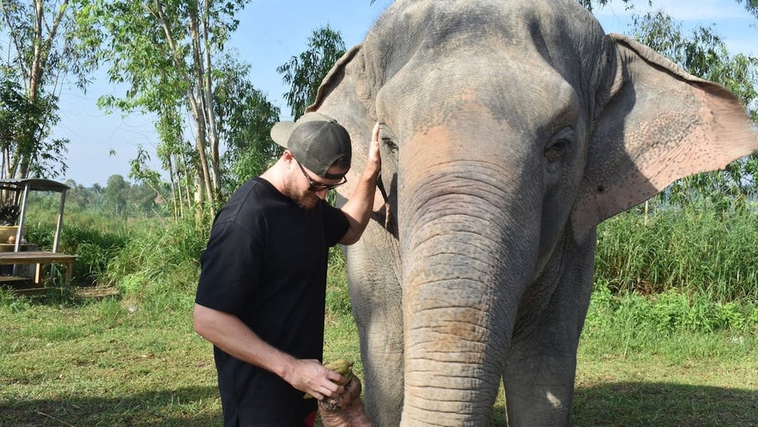 Elephant Jungle Sanctuary Tickets in Pattaya