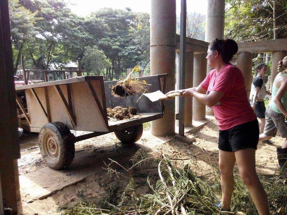 Elephant Nature Park Experience | Thailand