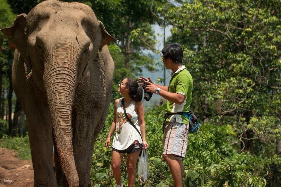 Elephant Nature Park Experience | Thailand