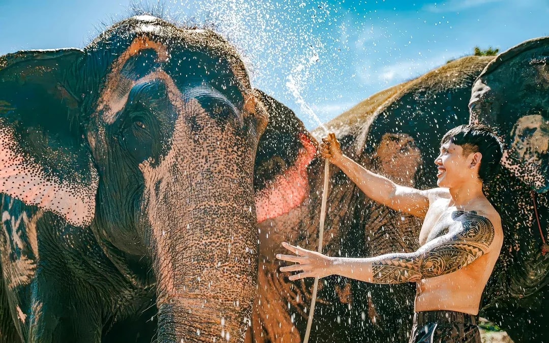 Elephant Sanctuary Tour with Transfers in Phuket Image 8