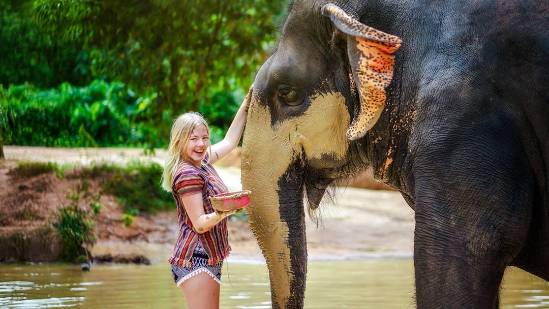 Woman applying mud to an elephant at Elephant Jungle Sanctuary, Phuket, Thailand.