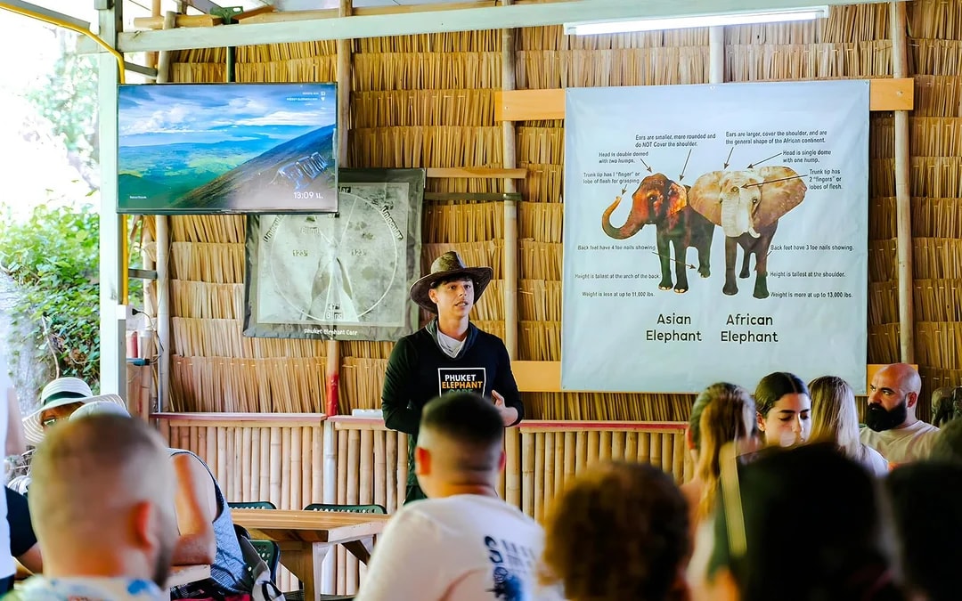 Elephant Sanctuary Tour with Transfers in Phuket Image 4