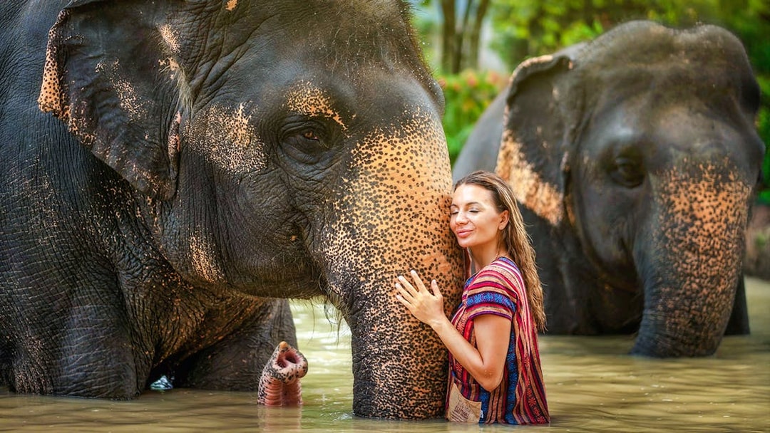 Woman embracing elephant at Elephant Jungle Sanctuary, Phuket, Thailand.