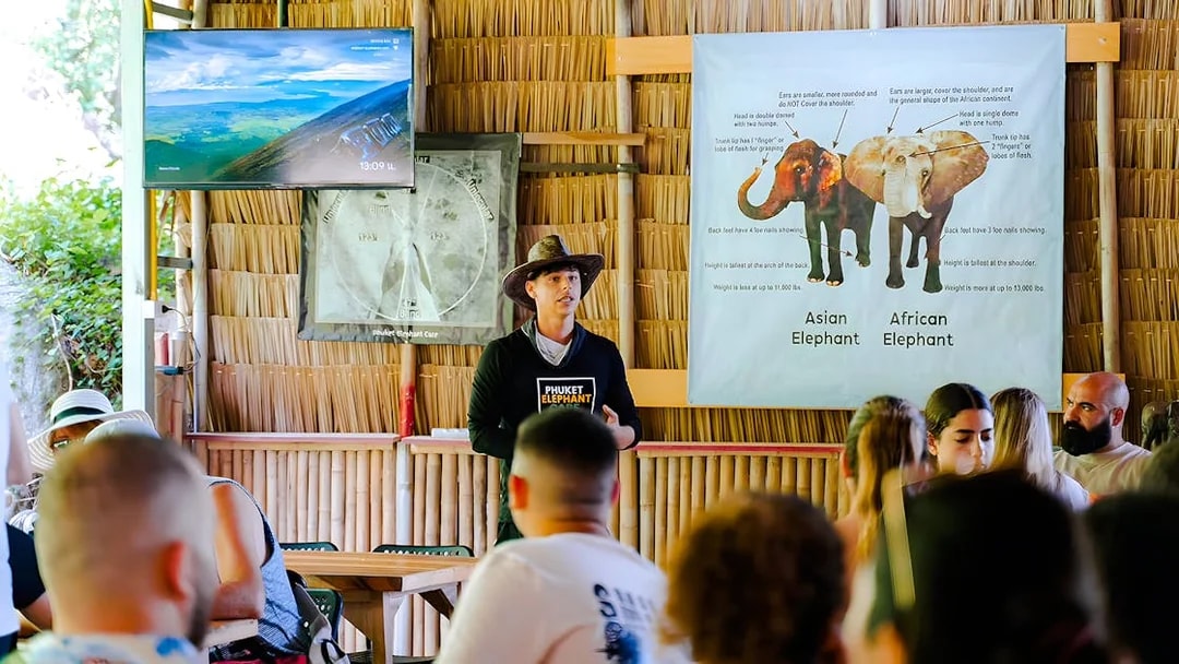 Guide discussing elephants at Phuket Elephant Care with visitors.