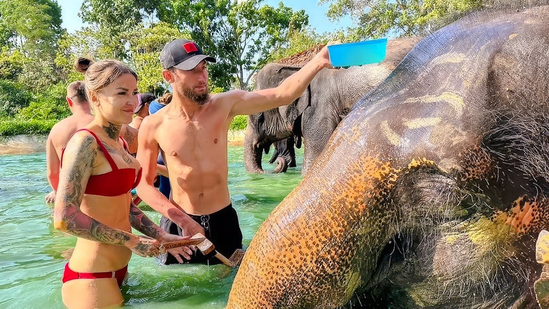 People bathing elephants at Phuket Elephant Care, Thailand.