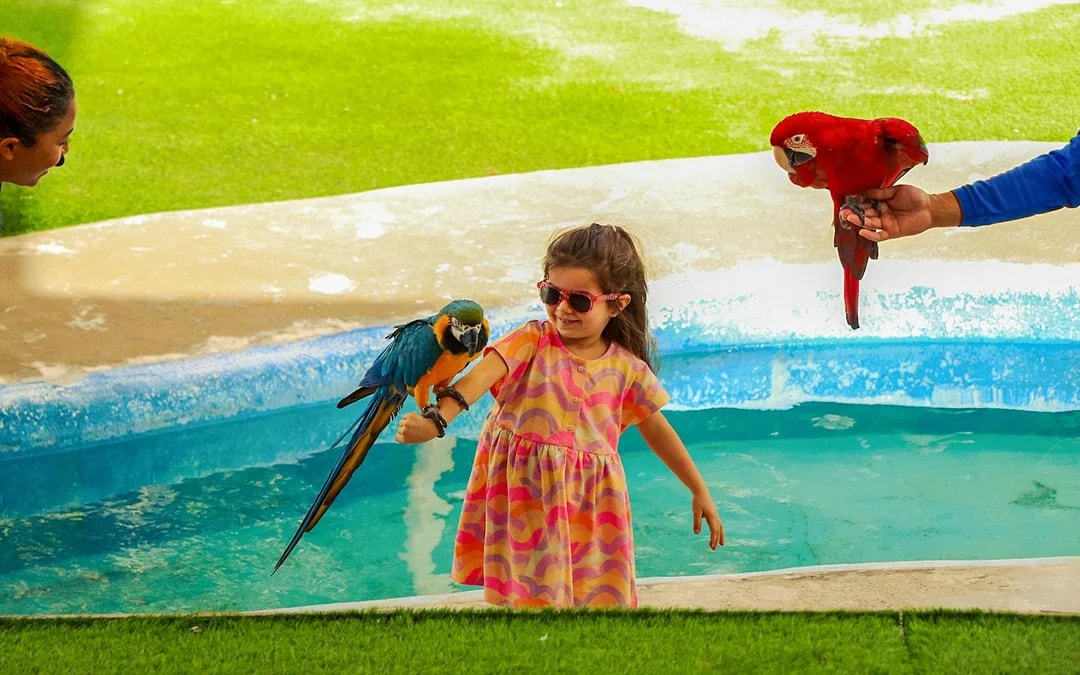 Emirates Park Zoo Tickets Image 8