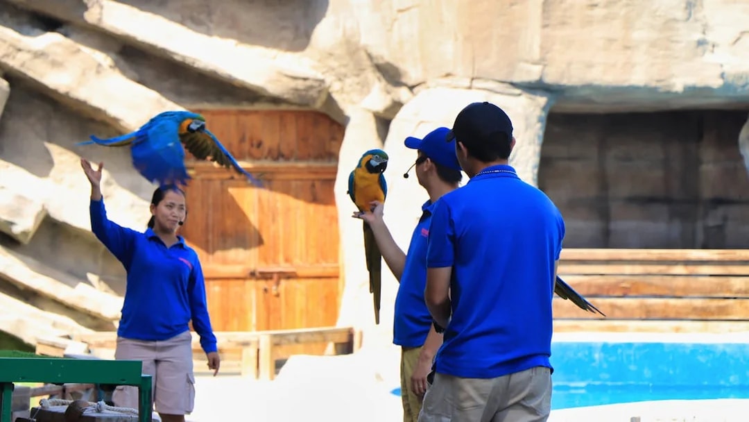 Trainers interacting with parrots during a show at Emirates Park Zoo.