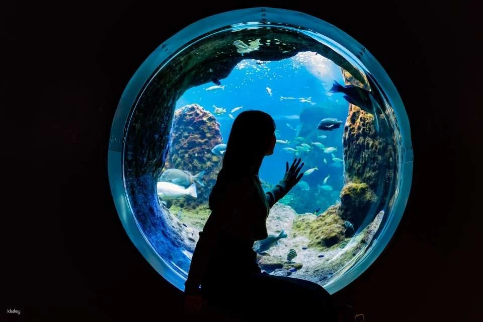 Enoshima Aquarium Admission Ticket (Fujisawa City, Kanagawa Prefecture)
