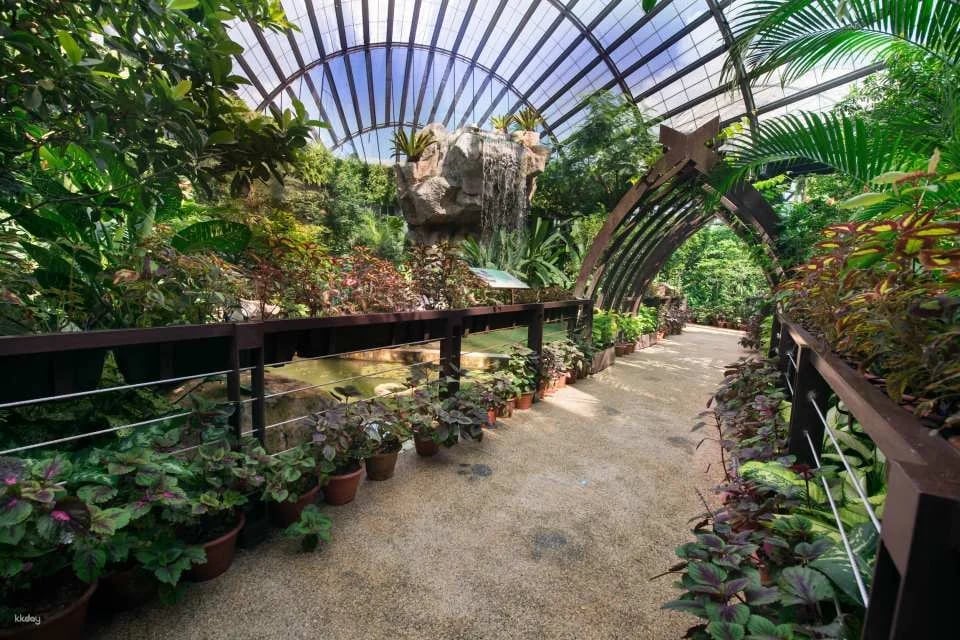 Entopia by Penang Butterfly Farm Ticket