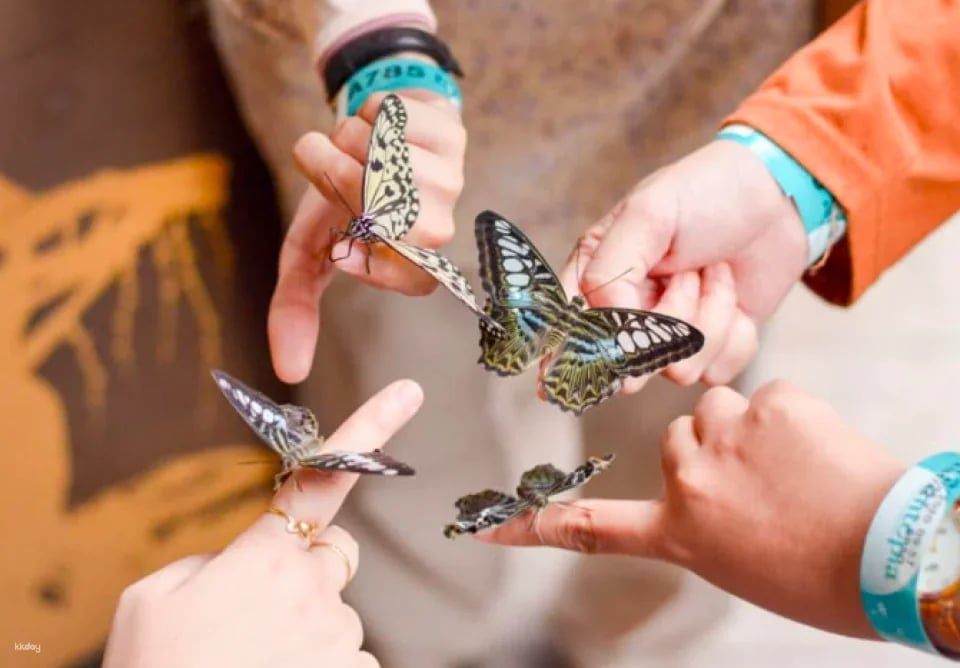 Entopia by Penang Butterfly Farm Ticket