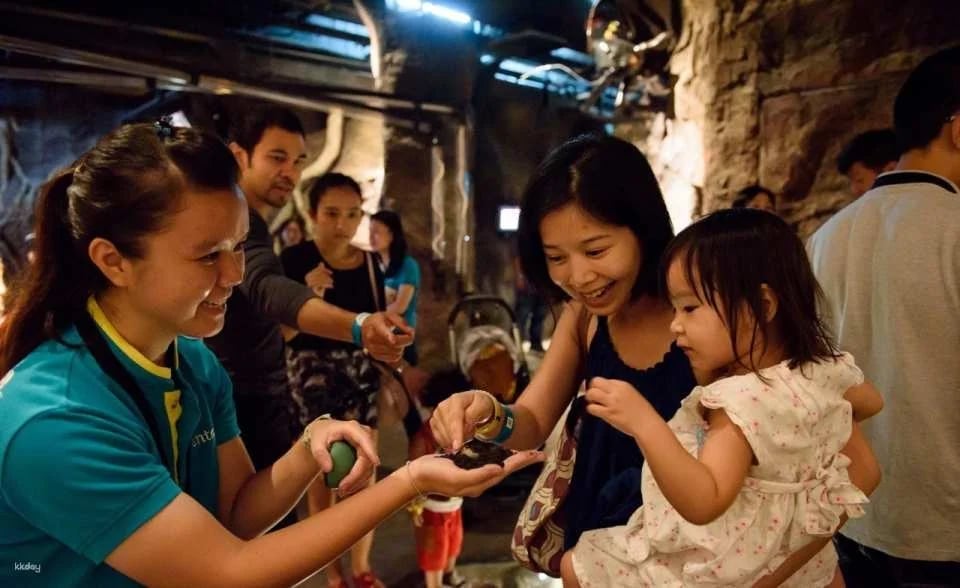 Entopia by Penang Butterfly Farm Ticket