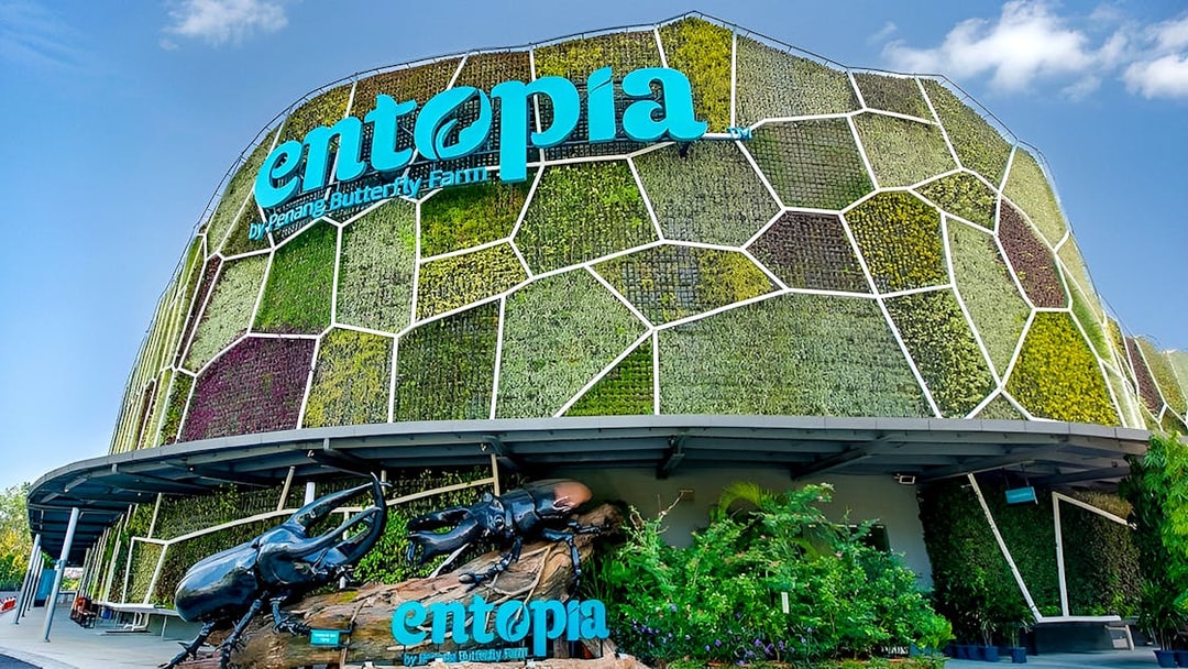 Entrance of Entopia by Penang Butterfly Farm with green wall and beetle sculpture.