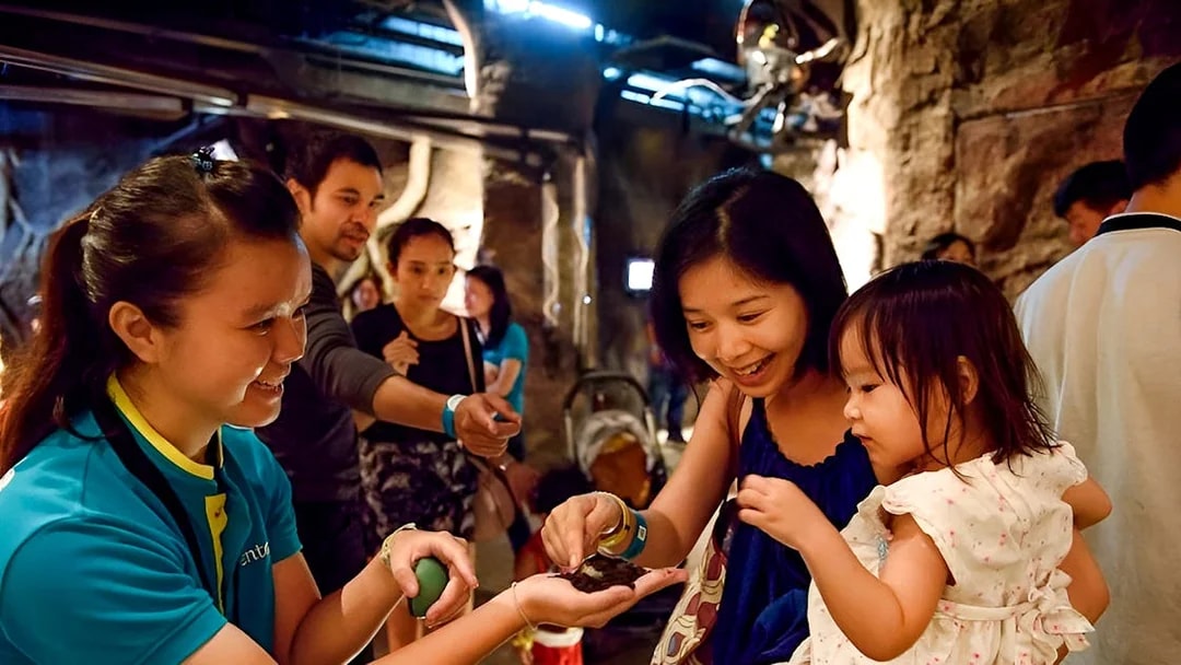 Guests interacting with butterflies at Entopia by Penang Butterfly Farm.