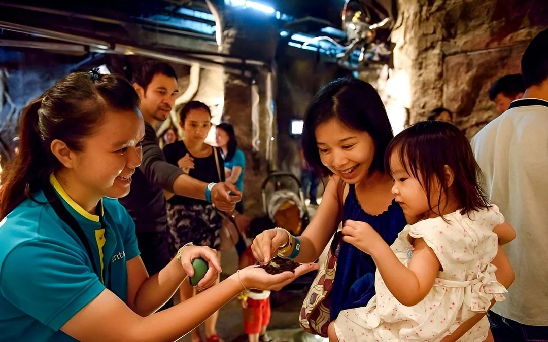 Entopia by Penang Butterfly Farm Tickets Image 7