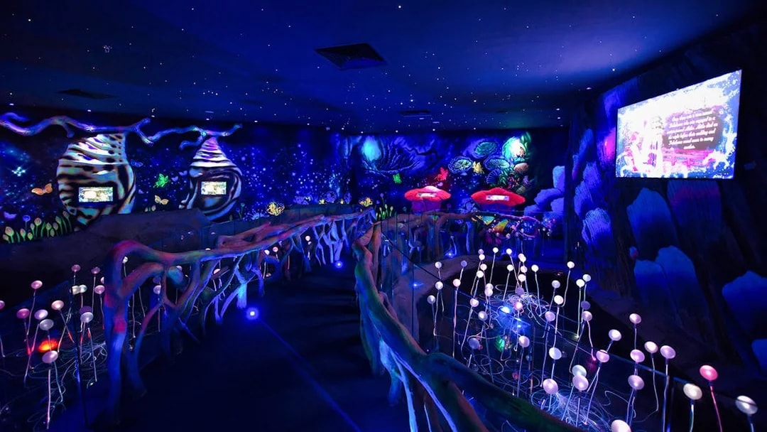 Interactive exhibit at Entopia Penang Butterfly Farm with glowing lights and colorful displays.