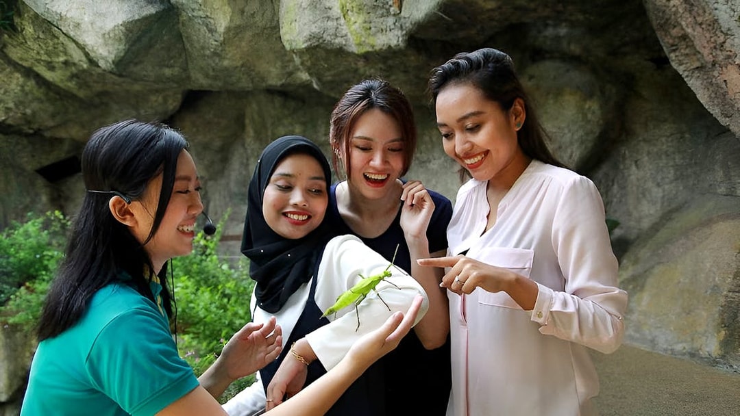 Guests interacting with a guide and a stick insect at Entopia by Penang Butterfly Farm.