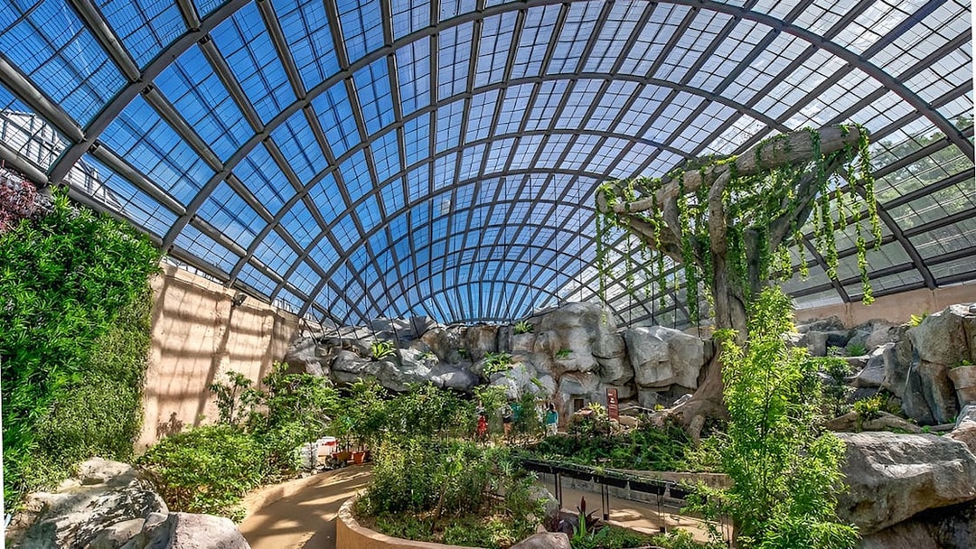 Entopia by Penang Butterfly Farm interior with lush greenery and large glass dome.
