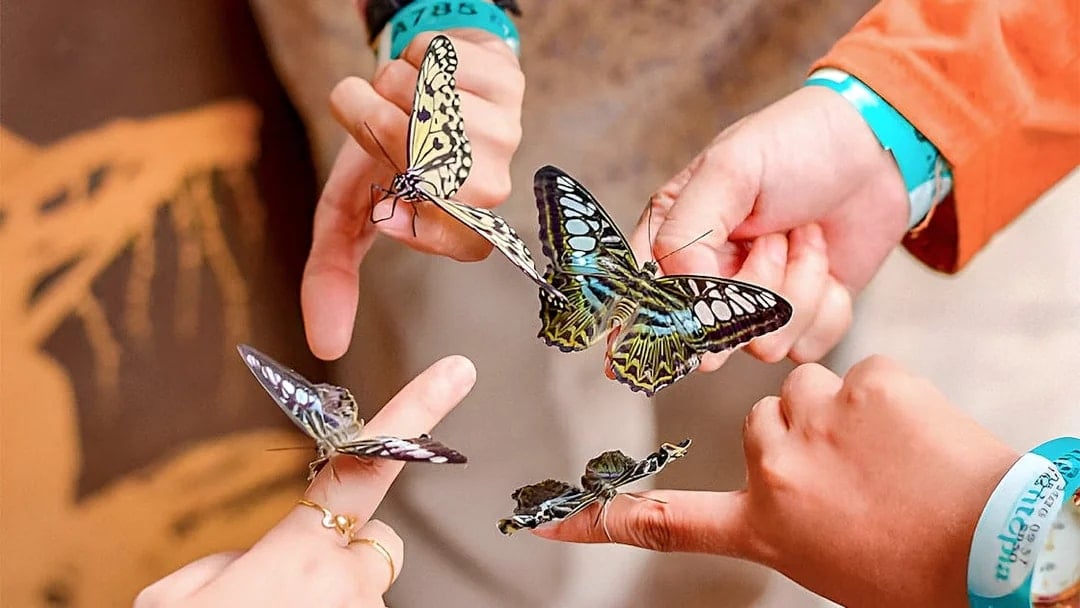 Entopia by Penang Butterfly Farm Tickets