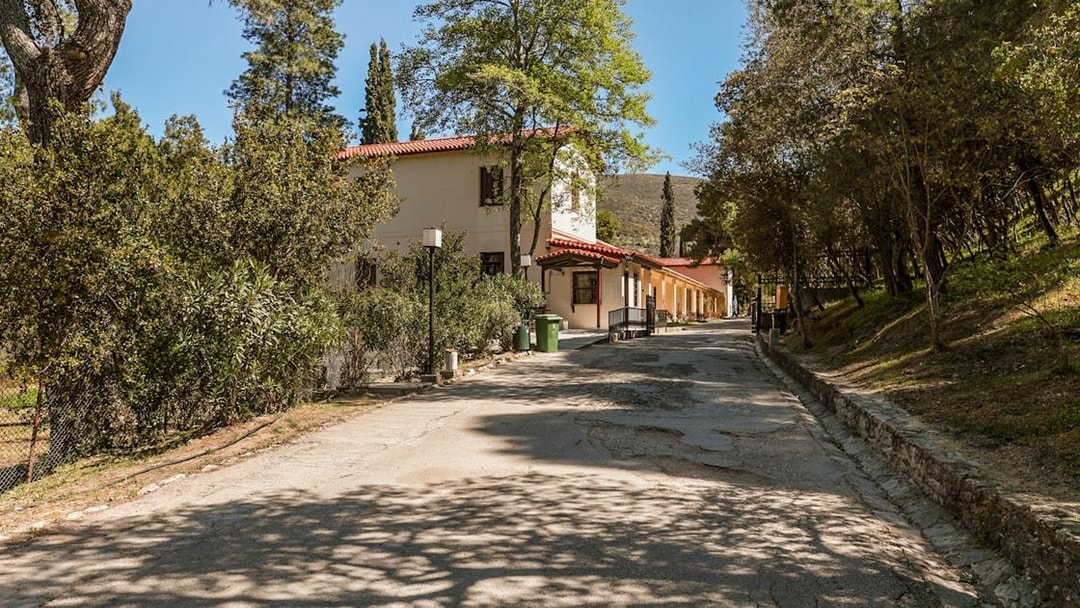 Pathway leading to Epidaurus Ancient Theatre Museum surrounded by trees.
