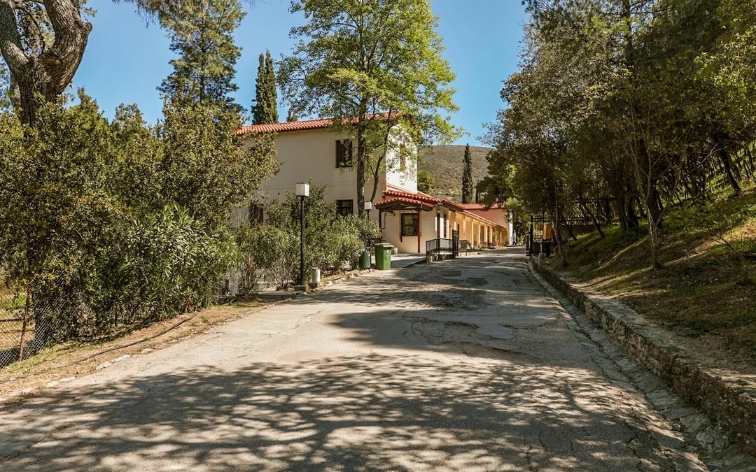 Epidaurus Archeological Site & Museum Tickets Image 8