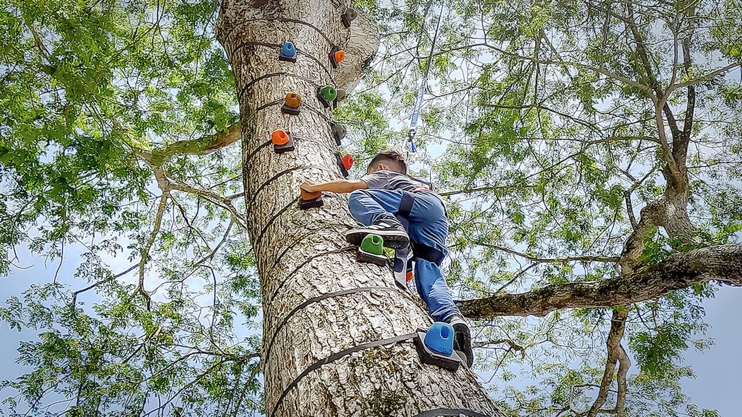 Person climbing a tree with harness at ESCAPE Ipoh Theme Park.