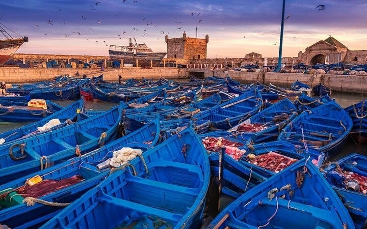 Essaouira Day Trip Coastal Charm Experience & Transfer -Marrakesh Image 5