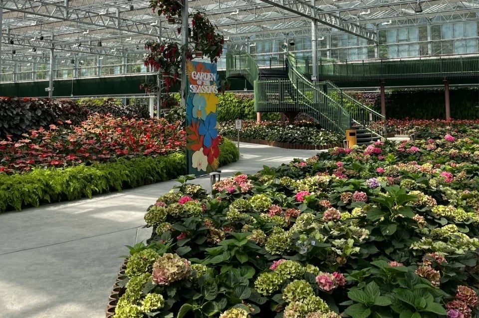 Eufloria Gardens & Sculpture Park | Genting Highlands
