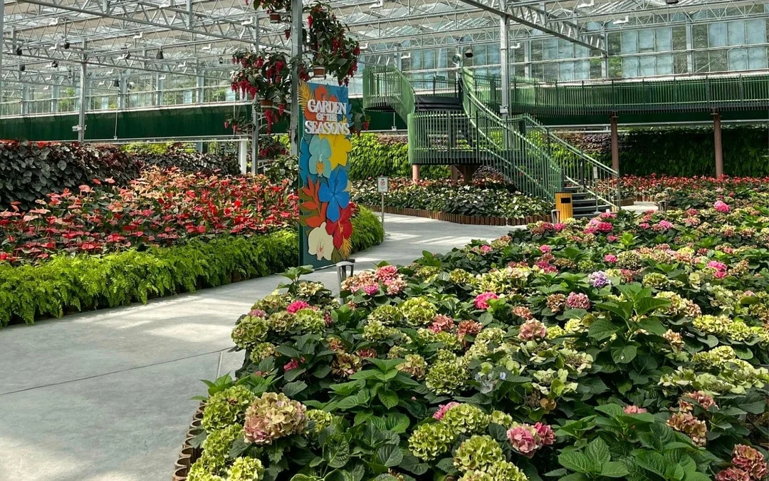 Eufloria Gardens & Sculpture Park Tickets Image 6