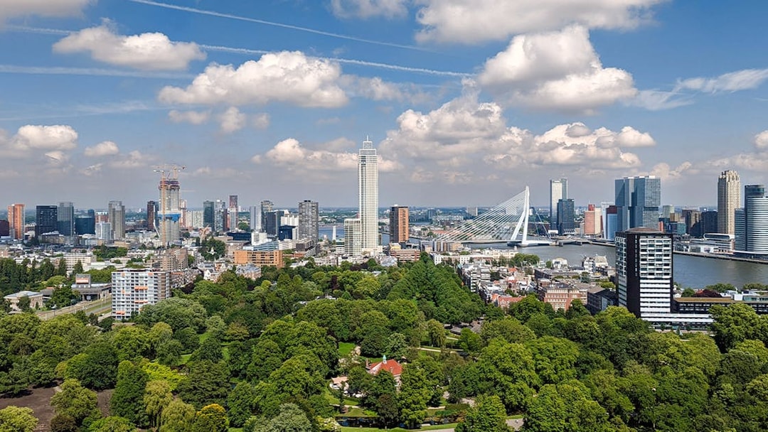 Rotterdam skyline with Erasmus Bridge and modern buildings.