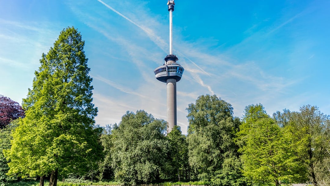 Public park with trees around a pond and Euromast tower in Rotterdam.