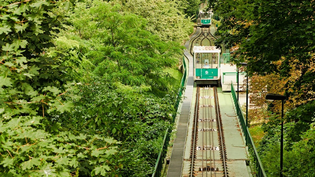 Funicular railway through lush green forest, evening view walk.
