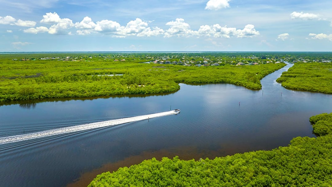 Everglades airboat gliding through lush wetlands, showcasing scenic waterways.
