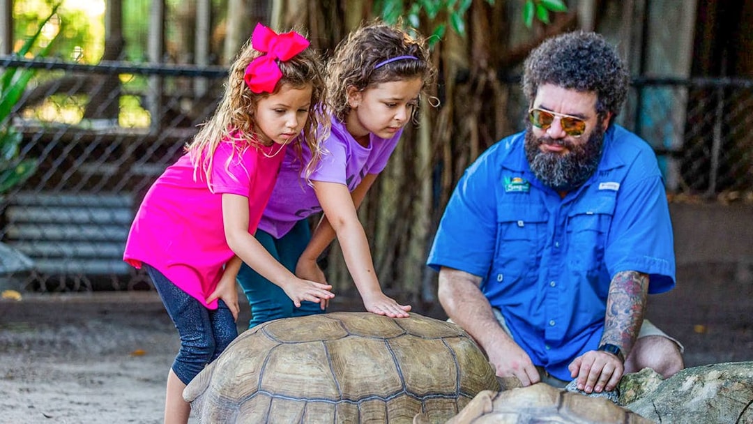 Children interacting with tortoises at Everglades reptile exhibit.