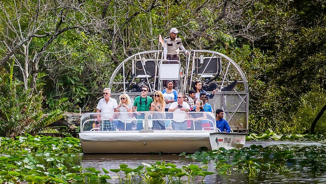Guests on an airboat tour in Everglades National Park surrounded by lush greenery.