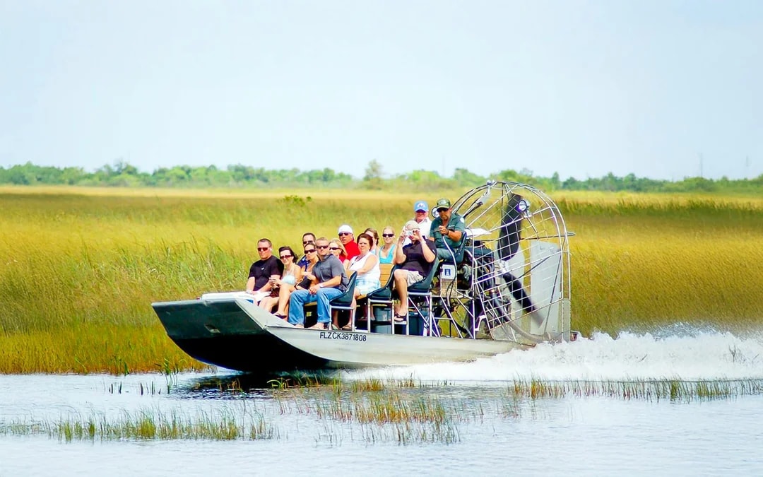 Everglades National Park: Airboat Tour with Reptile Exhibit Image 1