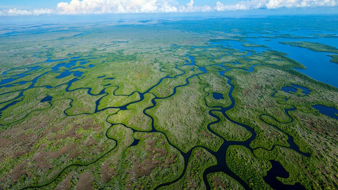 Aerial view of winding waterways in the Everglades for a private airboat tour.