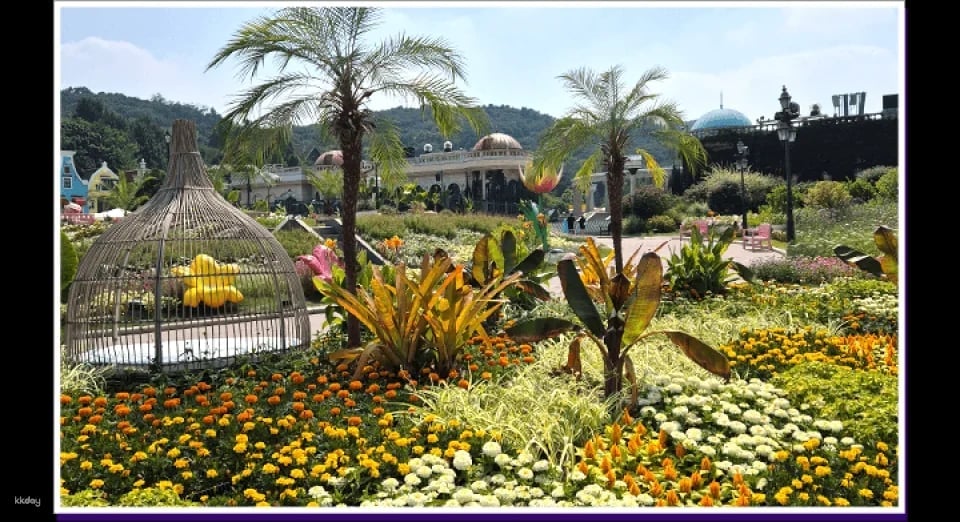 Everland Theme Park Admission Ticket in South Korea