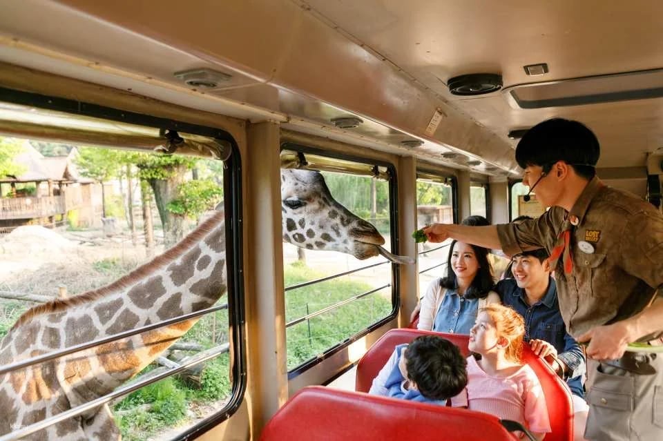 Everland Theme Park Admission Ticket in South Korea