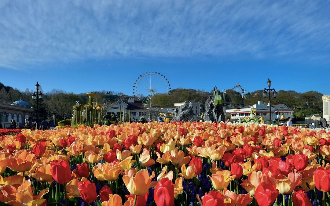 Everland Theme Park Tickets Image 11