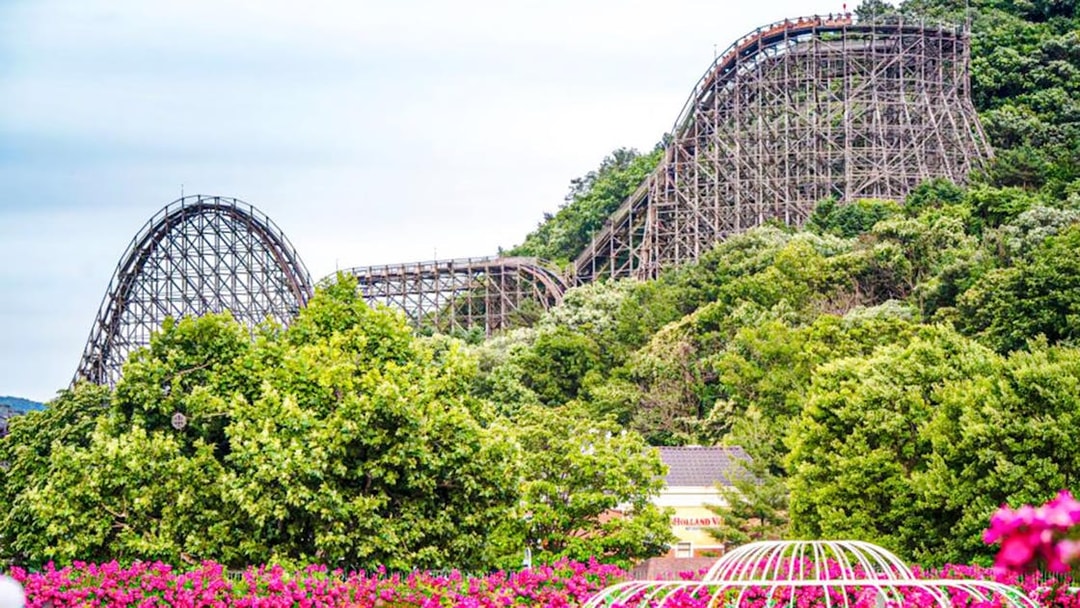 Wooden roller coaster surrounded by lush greenery and vibrant flowers.