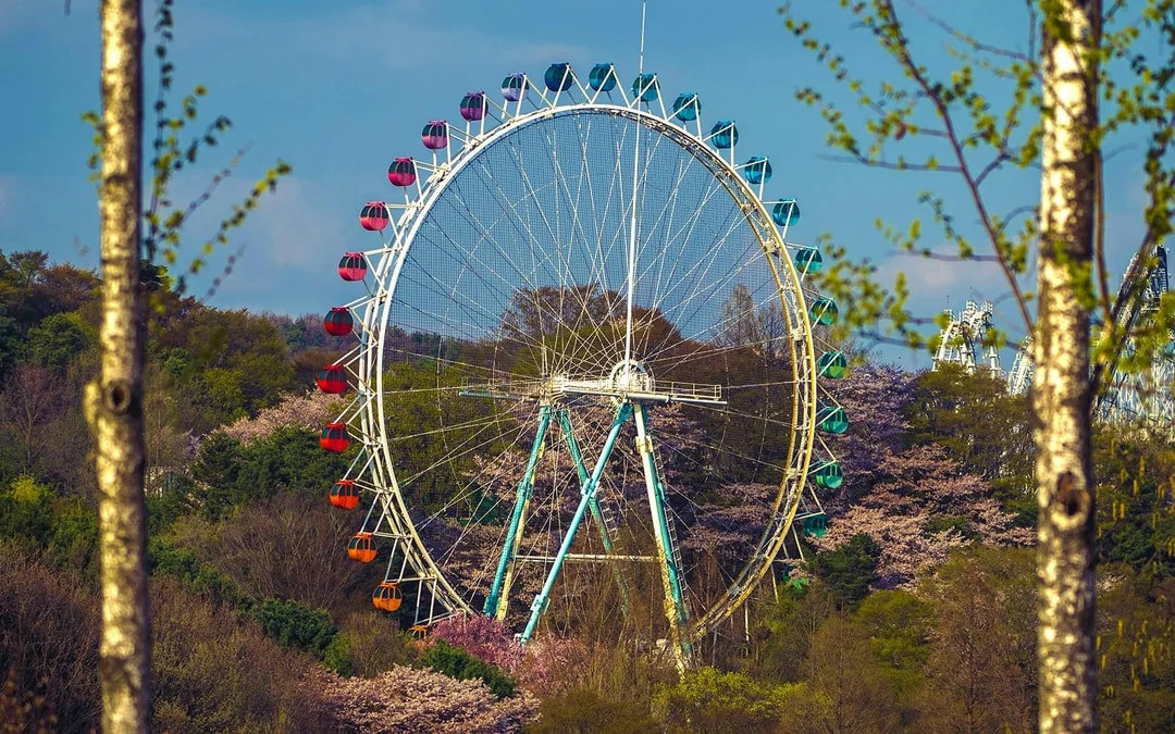 Everland Tickets with Round-Trip Transfers Image 7